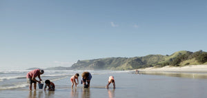 The New Zealand Food Story