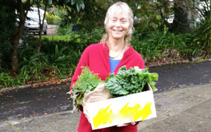 The economics of local food in New Zealand. Alice Bulmer.